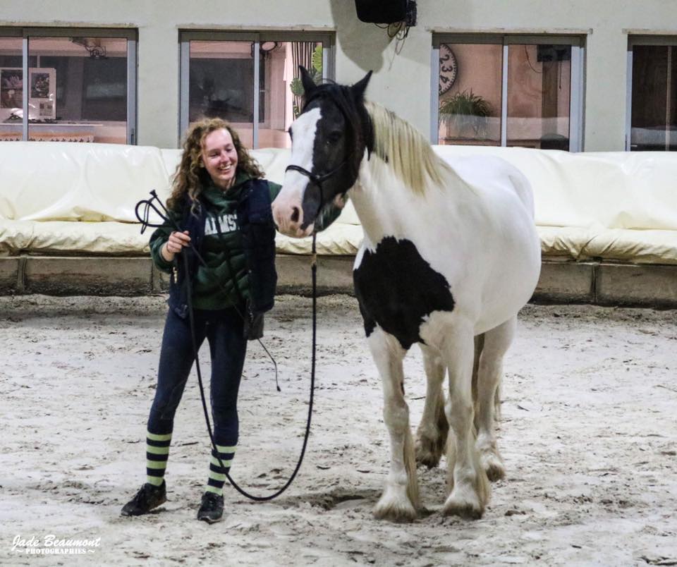 Pourquoi avoir un suivi en équitation éthologique ?
